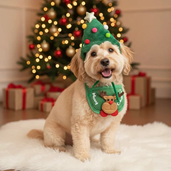 Pet Christmas ( Hat + Bib )