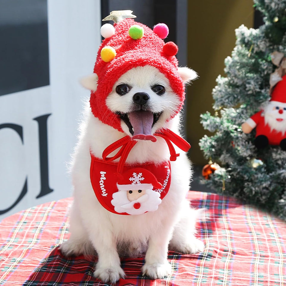Pet Christmas ( Hat + Bib )