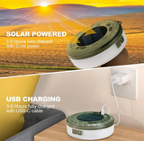 Christmas Decor Lights