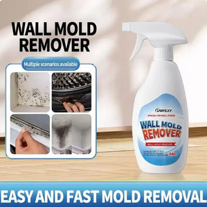 Highly Effective Mold Removal Spray