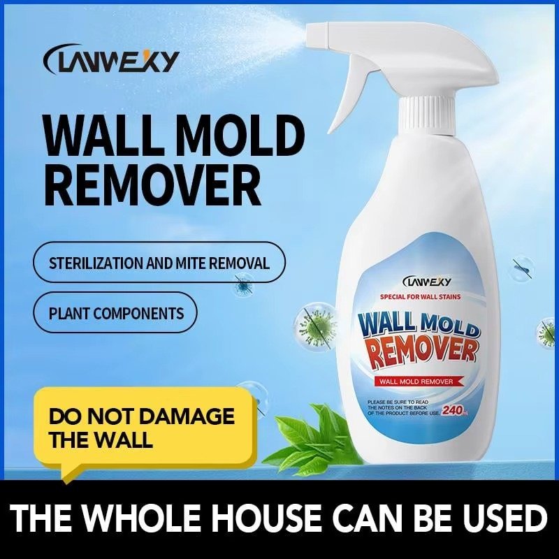 Highly Effective Mold Removal Spray