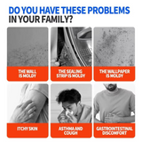 Highly Effective Mold Removal Spray