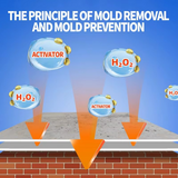 Highly Effective Mold Removal Spray