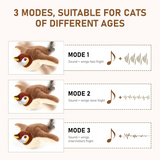 FlappyChase Interactive Cat Toy